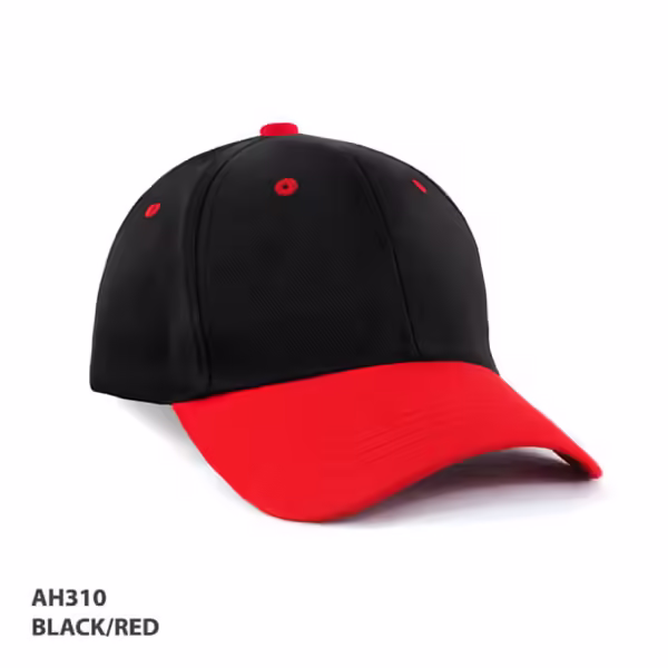 AH310 HBC two tone Cap - Image 4