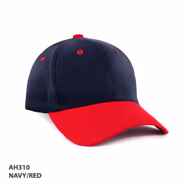 AH310 HBC two tone Cap - Image 5