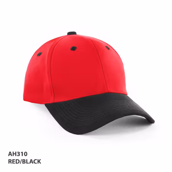 AH310 HBC two tone Cap - Image 3