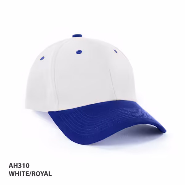 AH310 HBC two tone Cap - Image 7
