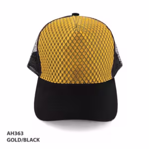 AH363 Aspect Cap