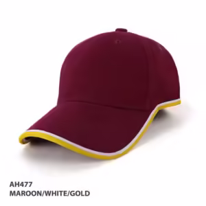 AH477 Michigan Cap
